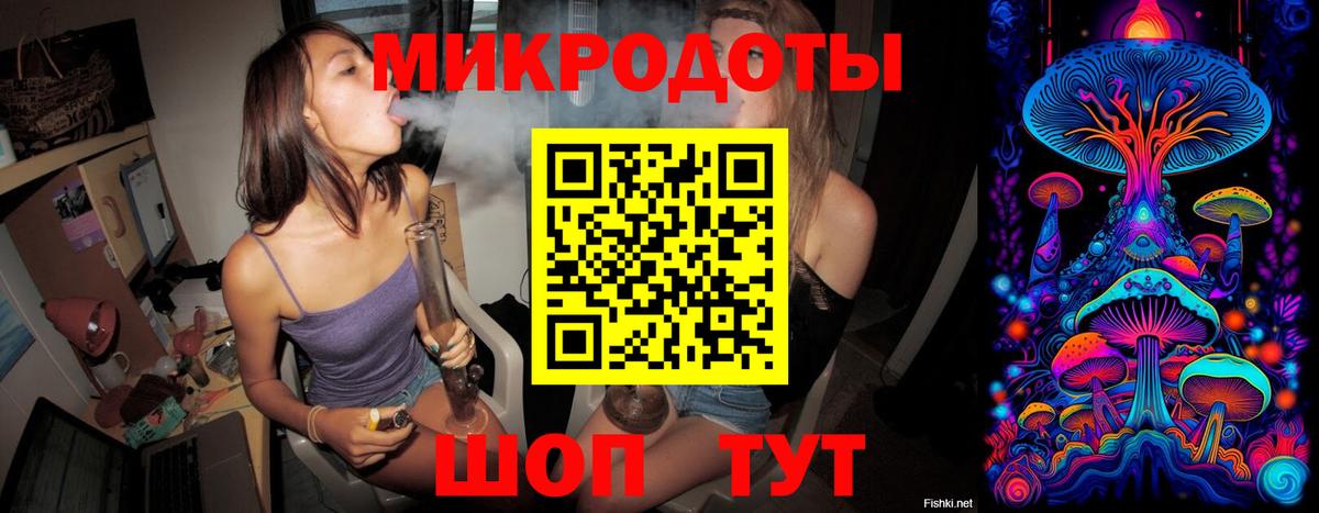 Галлюциногенные грибы ЛСД Каменка