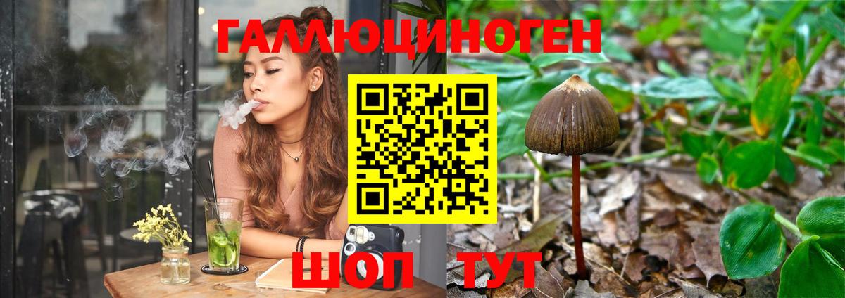 Каменка  Галлюциногенные грибы Magic Shrooms  Вход с VPN 